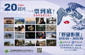 第九屆台灣野望國際自然影展:茱蒂丹契-愛樹成癡、宇宙奇石-呼吸