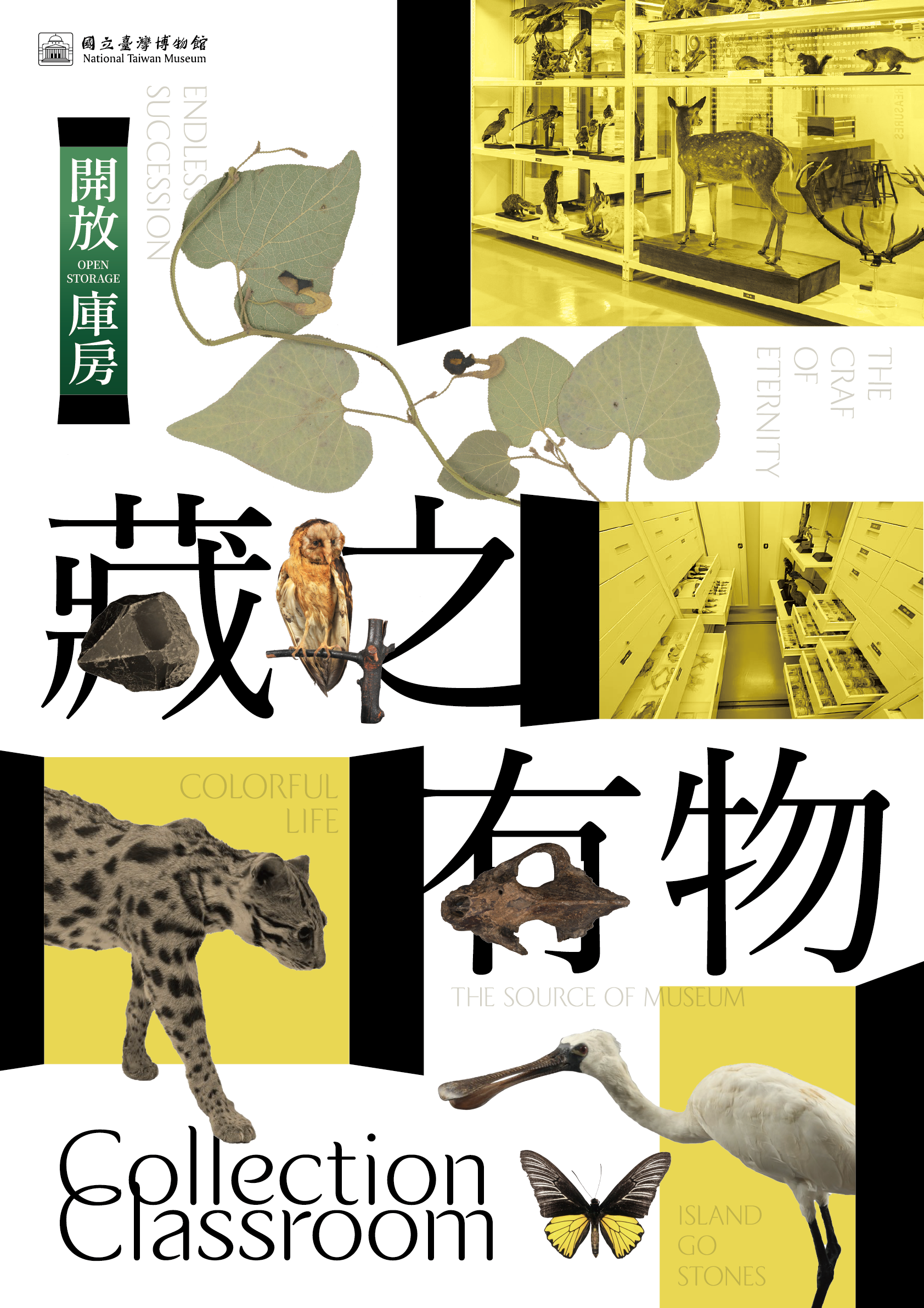 115年「藏之有物．開放庫房」專場導覽