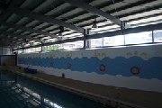 游泳池牆面油漆彩繪