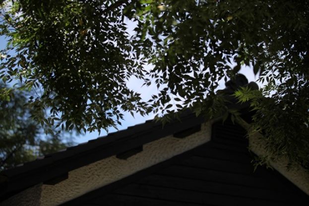 2014臺灣國際詩歌節-詩人女史 Herstory〈在靜默中與世界相遇〉陳育虹、羅任玲